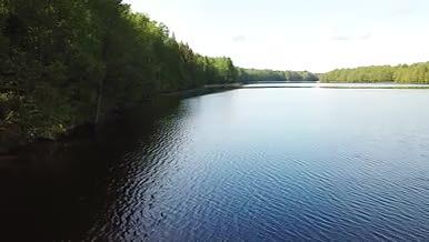 蓝色波光粼粼湖面倒映树木视频的预览图